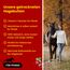 Scheidler horse-direkt Hagebutten getrocknet für Pferde 2kg – Ganze Hagebutte in Spitzenqualität – 100% Natürlicher Vitamin C Booster – Ideales Pferdeleckerli/Zusatzfutter ohne Zuckerzusatz