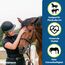 Eggersmann Mein Pferdefutter Horse Vital Plus 10 kg – Mineralfutter für Pferde Aller Art – Vitaminreiches Pferdefutter zur optimalen Rundumversorgung – Zur Ergänzung des Grundfutters