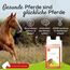 PHA Vitamin B Komplex Liquid für Pferde, gegen Stress, für Nerven, Haut, Fell, Hufe, bei B-Vitamine Mangel, zur Unterstützung der Regeneration, 1L