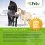 VitPet+ PneumoVit – Bei Husten Pferd – 1,2 kg – Mit natürlichem Eukalyptol – Zur Unterstützung von Atemwegen und Immunsystem – Erleichtert das Abhusten – Schleimlösend und beruhigend
