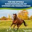 Eggersmann Mein Pferdefutter Horse Vital Plus 10 kg – Mineralfutter für Pferde Aller Art – Vitaminreiches Pferdefutter zur optimalen Rundumversorgung – Zur Ergänzung des Grundfutters