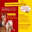 Scheidler horse-direkt Hagebutten getrocknet für Pferde 2kg – Ganze Hagebutte in Spitzenqualität – 100% Natürlicher Vitamin C Booster – Ideales Pferdeleckerli/Zusatzfutter ohne Zuckerzusatz