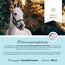 Annimally Pferd Biotin Zink Liquid 1000ml - Pflege für Haut, Haare & Hufe für Pferde - Biotin, Zink und MSM flüssig für EIN gesundes Fell - Fellpflege & Hufpflege für Pferde
