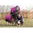 RL24 - Winterdecke 300g Füllung 600D BASICLINE pink/schwarz 145cm