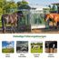 Farmilia® Heunetz für Pferde - Ideal für Rundballen bis ø190cm I Robustes Rundballennetz - UV-geschützt & wetterfest I Großes Heunetz inkl. Tragetasche - 45x45mm Maschen für langsames Fressen