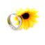 Uloveido 8mm Schwarzer Blauer Goldener Edelstahl Islamischer Muslimischer Muhammad Shahada Arabischer Gott Allah Botschafter Ring für Männer Jungen. (Weiß, 19.75)