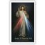 Jesus I Trust in You Divine Mercy Cardstock Laminierter Druck mit Chaplet auf Rückseite, katholische Heilige Gebetskarte, für Sonntagsschule, Kirche und Masse, 5,7 x 9,5 cm, 5 Stück