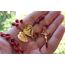 Nazareth Store Rote Korallenperlen Rosenkranz Halskette Katholischer Heiliger Benedikt Rosenkranz Herz Medaillon Medaille & Kreuz Religiöses Amulett für Frauen und Männer - Samttasche