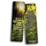 Everything You Need for Growth Bibel-Lesezeichen (12er-Pack) – Kollektion Motivational of Bibelvers on Christian Development