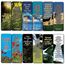 Everything You Need for Growth Bibel-Lesezeichen (12er-Pack) – Kollektion Motivational of Bibelvers on Christian Development