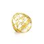 Amaxer Am Israel Chai Ring für Frauen Davidstern Jüdisches Judaica Hebräisch Kabbalah Segensring Religiöser Fingerring (Gold, Diameter 17mm)