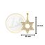 PRINS JEWELS 14 Karat 585 Gold Davidstern Mit Zirkonia Steinen Anhänger Gelbgold