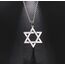 SIPURIS Davidstern Halskette für Männer Kristall Hexagramm Pentagramm Hebräisch Jüdisch Wiccan Israel Symbol Anhänger aus Edelstahl Sechszackiger Stern Amulett Schmuck Geschenke (Star/Sliver)