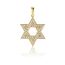 PRINS JEWELS 14 Karat 585 Gold Davidstern Mit Zirkonia Steinen Anhänger Gelbgold