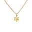 Amaxer Zierliche Davidstern-Halskette mit hebräischem Chai-Symbol, Halskette für Damen, minimalistisch, Chanukka, Magen, Judaisch, jüdisch, Edelstahl, Charm-Anhänger (klassischer Davidstern, Chai-Gold