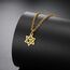 Amaxer Zierliche Davidstern-Halskette mit hebräischem Chai-Symbol, Halskette für Damen, minimalistisch, Chanukka, Magen, Judaisch, jüdisch, Edelstahl, Charm-Anhänger (klassischer Davidstern, Chai-Gold