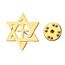 Amaxer Jüdischer Davidstern Brosche für Damen und Herren, Magen David Israel Brosche für Rucksack Abzeichen Hut Tasche Zubehör Dekoration (Gold)