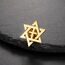 Amaxer Jüdischer Davidstern Brosche für Damen und Herren, Magen David Israel Brosche für Rucksack Abzeichen Hut Tasche Zubehör Dekoration (Gold)
