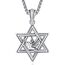 David Sterne Halskette Sterling Silber Davidstern Anhänger Kette Davidstern mit Taube Kette Taube Halskette David Stern Schmuck Geschenk für Herren Männer