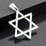 BlackAmazement 316L Edelstahl Anhänger Leder Kette Halskette Davidstern Star of David Hexagramm silber Damen Herren (Anhänger mit Kette)