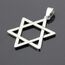 BlackAmazement 316L Edelstahl Anhänger Leder Kette Halskette Davidstern Star of David Hexagramm silber Damen Herren (Anhänger mit Kette)