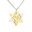 Jüdisches Gebet Shema Yisrael Halskette für Frauen Zweifarbige Davidstern Halskette Hear O Israel Anhänger Judaica Sh'ma Yisrael Schmuck Hebräisch Kabbalah Segen Geschenk Männer (A- Zweifarbig gold)