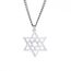 Dreamtimes Davidstern Halsketten Edelstahl Hexagramm Anhänger jüdische Halsketten Davidstern jüdischer Schmuck für Frauen Herren (Silber)