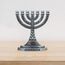 Fopytu Mini 7-Branch Menorah Kerzenhalter Für Schabbat, Tabernakel, Jüdische Kerzenhalter Home Decor Ornamente Tisch Herzstück Display