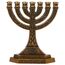 Fopytu Mini 7-Branch Menorah Kerzenhalter Für Schabbat, Tabernakel, Jüdische Kerzenhalter Home Decor Ornamente Tisch Herzstück Display