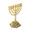 BRTAGG Kerzenständer Menora mit 7 Zweigen und 20cm Höhe - Inspiriert von den 12 Stämmen Israels und Jerusalem - Perfekt für jüdische Geschenke - Modell 4063