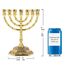 BRTAGG Kerzenständer Menora mit 7 Zweigen und 20cm Höhe - Inspiriert von den 12 Stämmen Israels und Jerusalem - Perfekt für jüdische Geschenke - Modell 4063