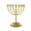 BRTAGG Kerzenständer Menora mit 7 Zweigen und 20cm Höhe - Inspiriert von den 12 Stämmen Israels und Jerusalem - Perfekt für jüdische Geschenke - Modell 4063
