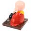 FAVOMOTO Kleiner Mönch Figur Solar Kopf Spielzeug Lustiges Auto Schütteln Kopf Spielzeug Chinesischer kleiner Buddha Mönch Statue Auto Armaturenbrett Ornament Home Dekorationen