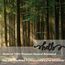 CREATCABIN Hello Wood Crafts Wortausschnitt-Holzschild,Laser-Holzschild,Ornamente,Kunstprojekt,Wortschild,Wanddekoration,Unvollendete Ausschnitte,Holzdekoration Für Personalisiertes Zuhause,30x9cm