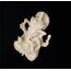 Fafaherr Ganesha-Elefantengott Figur, Elefanten-Hindu-Skulptur-Figuren Ganesha Buddha Handgefertigte Skulptur Indische Ganesha-Idol-Figur Aus Kunstharz Dekoration für Zuhause, Handwerk, Geschenke