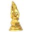 ASHIRWAD Messing Lord Ganesha Idol Statue für Zuhause Hindu-Gott Ganpati Bappa Vinayaka Murti (Ganesh-11)