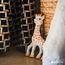 Sophie la Girafe - Sophiesticated - Geschenkset Geburt 1+ Jahre Größe M
