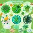 LAWOHO 6 Stück Farbverlauf Grünem Slime Set enthält Fluffy Cloud Wolkenschleim, Clear Slime & Butter Schleim, Schleim Kinder Party Geschenk, Geburtstag Weihnachten Geschenk für Mädchen, Jungen(Gemüse)