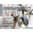 dekohaken24.de 4x Fensterhaken/Dekohaken mit Distanzhalter - ideal für Fenster- oder Weihnachstdekoration, Klemmbereich 10-27 mm (anthrazit, M)
