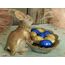 Werner Voss Osterhase mit Schale Hasenfigur Ostern Kartenhalter Hase Osterfigure Barrock Shabby Landhaus