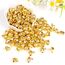 Kleine Glocken zum Basteln, 100 Stück Jingle Bells, 12 mm Glöckchen Gold, Mini-Glöckchen Weihnachtsschmuck für Schmuckherstellung Weihnachten Dekoration DIY (Gold)