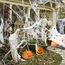 AMLOOPH Spinnennetz Halloween Deko Set, 300g Weiß Dehnbare Spinnweben Halloween Spinnennetz Dekoration Mit 100 Plastik Spinnen für Gruselige Deko Outdoor Garten Innen Horror Party Dekoration