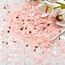 Hopton Konfetti 6000 Stück, 50g Rosa Konfetti Geburtstag, Hochzeit Streudeko, Papier Confetti Tischdeko für Geburtstag Hochzeit Party Dekoration