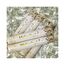 PrimePure Konfetti-Kanone Party Poppers – Geld-Konfetti-Popper – 6er Pack – Mini 100-Dollar-Scheine Party-Kanonen Shooter für Hochzeit, Geburtstage, Feiern