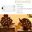 Valery Madelyn 2er Herbstdeko Igel Deko Figuren mit LED Timer aus Rost Bunt Metall,Holz Sockel,Beidseitig Rostig,Herbst Deko Innen Ornament für Tisch Fenster,Geschenk Fall Decor Halloween,15/16cm