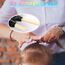 ZCOINS 100 Pack Schwarz Mini Kleine Haargummis, Dünne elastische Haarbänder für feine Strähnen, Zöpfe & Kinderfrisuren, Unsichtbare Haargummis für Mädchen & Kleinkinder