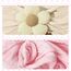 LECTNORE Baby Stirnbänder Blumen 3er Pack, Weiche Haarbänder für Neugeborene und Kleinkinder, Haarschmuck Mädchen (#11#14#15)