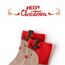 FedMois 5er Pack Baby Kleinkinder ABS rutschfeste Socken Sneaker Socken Tiermotive Baumwolle, Weihnachten, 0-1 Jahr