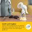 Medela Harmony Handmilchpumpe – Kompaktes Schweizer Design – Manuelle Milchpumpe mit PersonaFit Flex Brusthauben und 2-Phase-Expression-Technologie