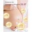 Momcozy Colostrum Collector Kolostrum-Sammler Wiederverwendbarer Muttermilch-Sammler, tragbarer Kolostrum-Behälter zum Füttern des Babys, Mehrzweck-Sammler BPA-frei, 5ml-6St.